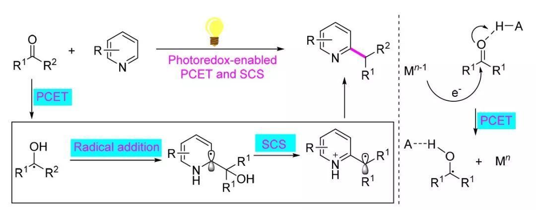 醛或酮脫氧對氮雜芳環碳氫鍵的直接烷基化