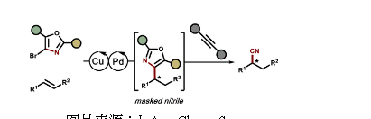 不使用氰化物進(jìn)行不對稱烯烴氰化反應(yīng)