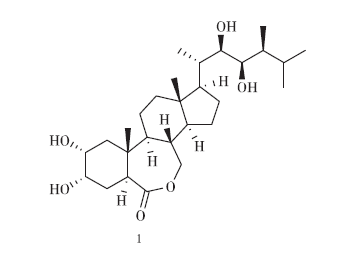 蕓苔素內(nèi)酯的合成研究進(jìn)展