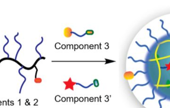 【Chem】用有序的三組分反應(yīng)獲得功能性聚合物納米粒子
