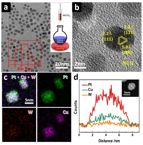 北理工李煜璟：鎢元素“粘合劑”助力貴金屬合金催化劑穩定性