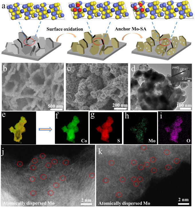 孫俊良/孫曉明：原子級分散的非貴金屬雙功能催化劑實現pH-Universal的水分解