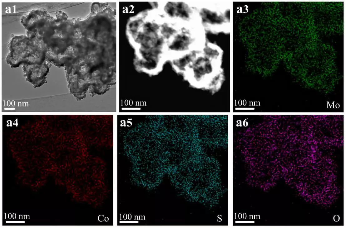 微信圖片4_20191226110338 微信圖片4_20191226110338