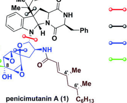 海洋天然產物全合成的重大突破
