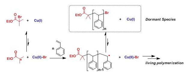 原子轉移自由基聚合(Atom Transfer Radical Polymerization)