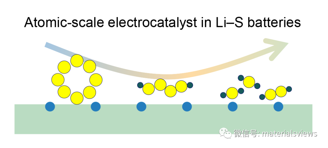 InfoMat：原子尺度催化劑提升鋰硫電池多硫氧化還原動力學
