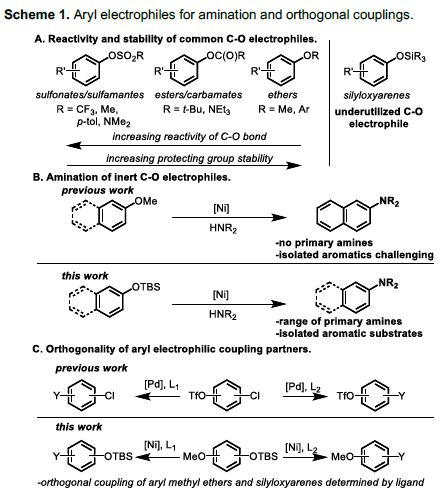 Angew：硅醚，不再只是一個保護基