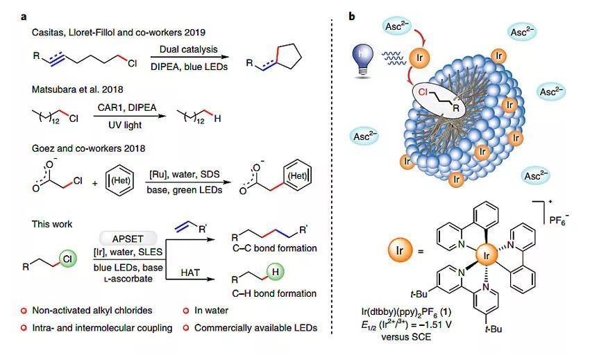 Nat. Catal.：微非均相體系助力C-Cl鍵的活化