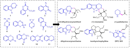 六員環內亞胺的有機催化不對稱曼尼希反應： 方法學與合成應用
