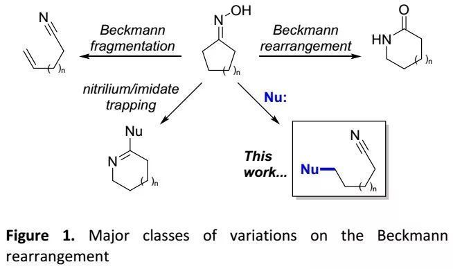 Chem. Sci：達特茅斯學院Jimmy Wu課題組實現親核試劑攔截的Beckmann裂解