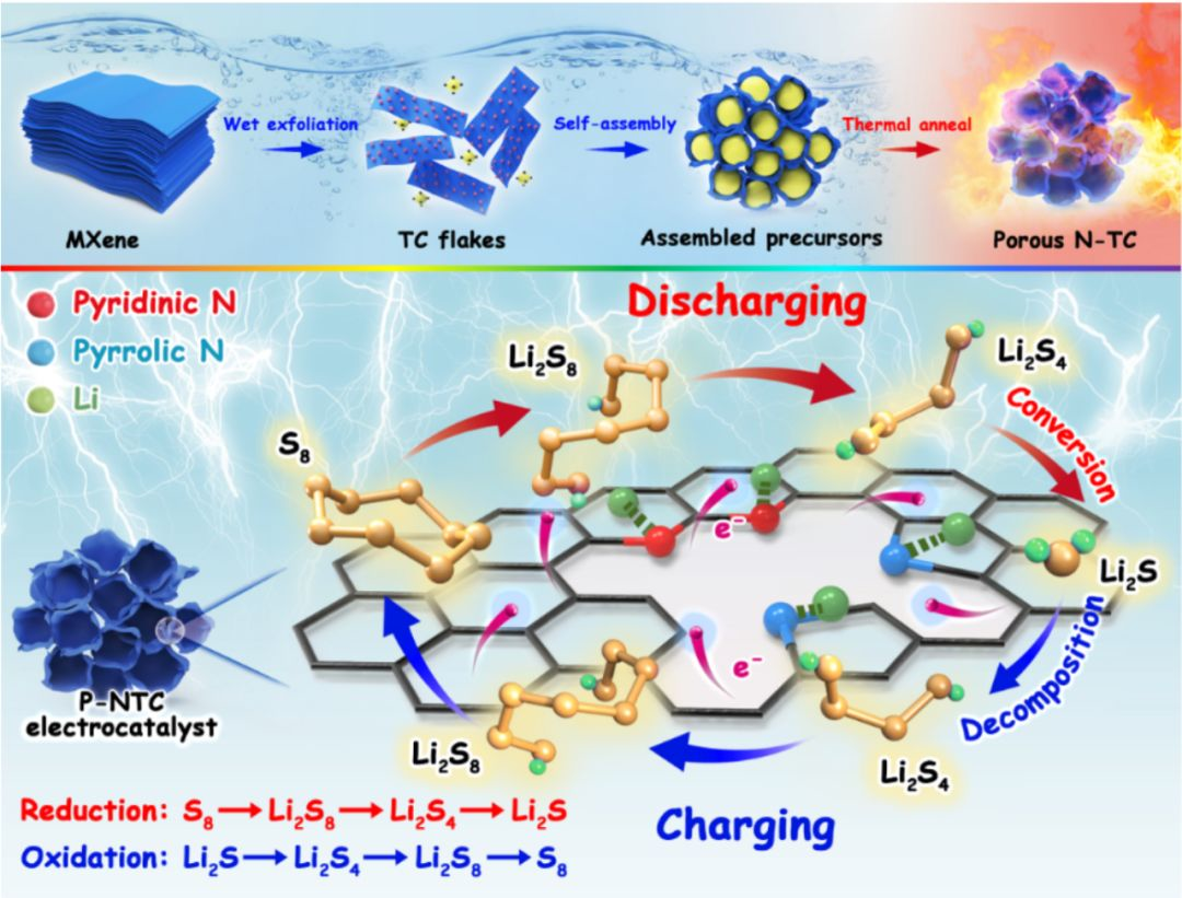 蘇大孫靖宇/清華張強：基于鋰硫化學的多孔氮摻MXene多功能電催化劑的合理設計