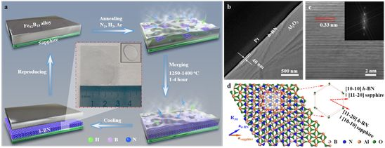 吳天如團隊: 介質(zhì)襯底表面氣-液-固法制備大面積多層六方氮化硼