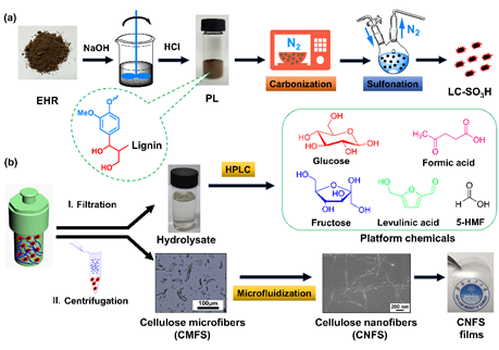 陳克復院士團隊：木素基固體酸催化制備短棒狀纖維素納米纖絲和平臺化合物