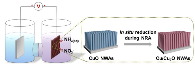 張兵課題組Angew：揭示銅基催化劑在硝酸根電還原合成氨過程中的活性物種