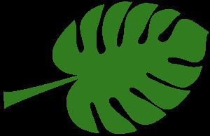 JACS：金屬/氧化物界面調控：有機配體調控CO2和CO與界面的吸附作用促進CO2轉化