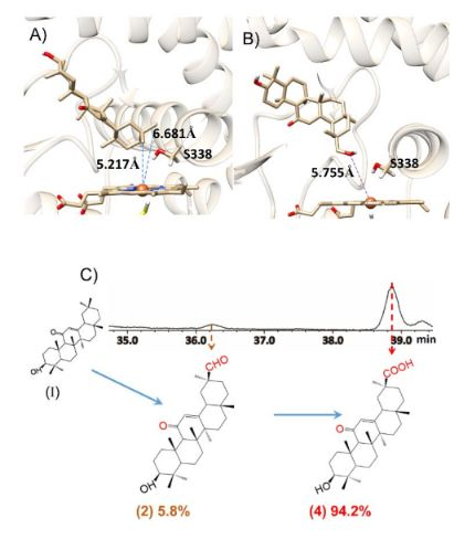 北理工李春教授：控制植物P450氧化酶化學選擇性及區域選擇性在酵母中特異性合成稀有甘草三萜