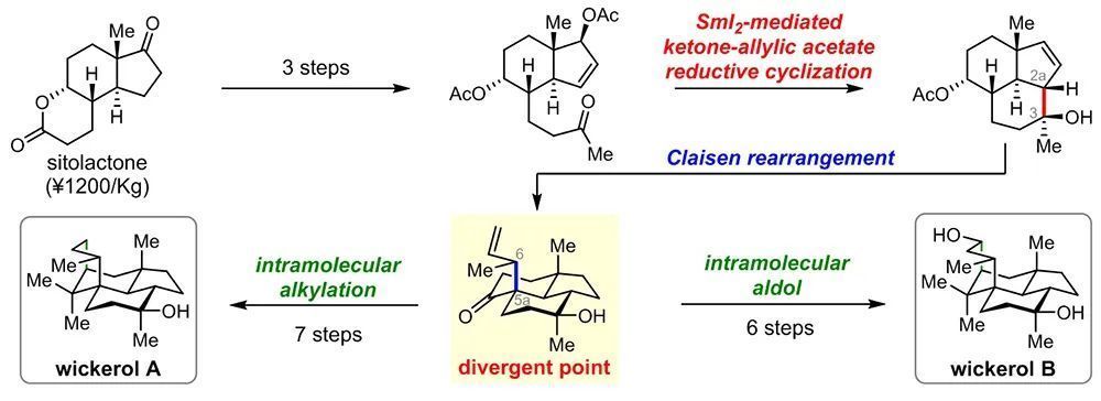 上海有機所在萜類天然產物wickerols和propindilactone G的合成研究中取得進展