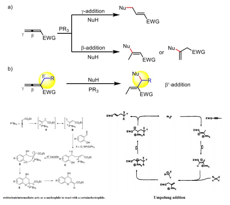 膦催化的乙烯基聯烯酯的遠程1,7-加成：合成二烯羧酸酯