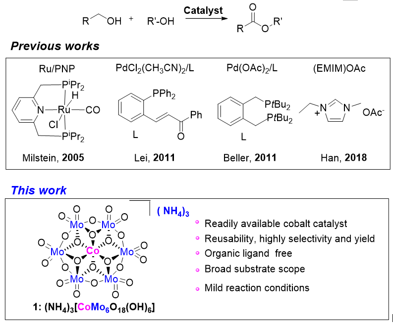 通過添加劑協同調控的單離子鈷催化劑一步法高效實現醇到酯的綠色轉化| 清華大學魏永革及其合作者