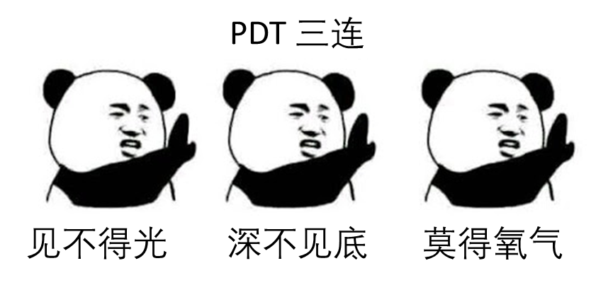 芝加哥大學林文斌教授《JACS》：納米MOF穩定細菌卟啉用于I型和II型同步的光動力療法