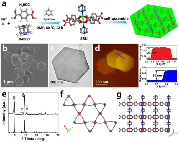 二維MOF納米六角片：基于拓撲學的“自下而上”合成及其在水分解析氧反應中的應用