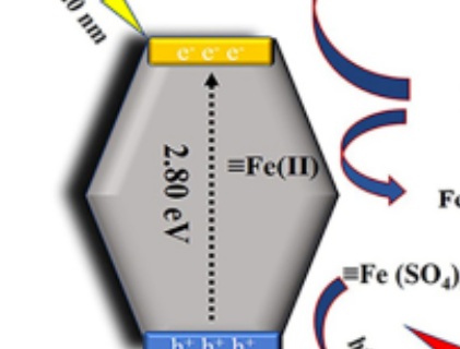 張金龍/王靈芝課題組：基于Fe/PS非均相體系光生Fe(IV)物種的污染物選擇性高效降解