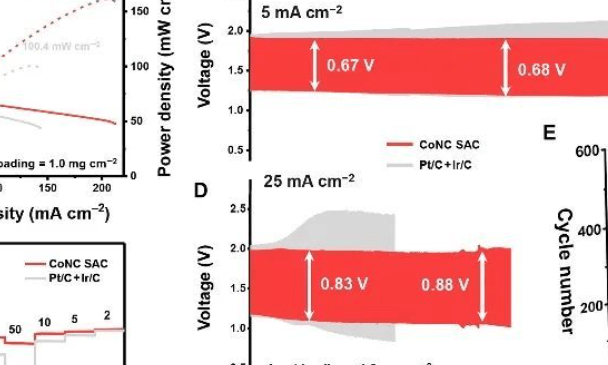 張強/李博權Sci. Adv.：點擊限制策略，雙功能氧電催化的過渡金屬單原子位點