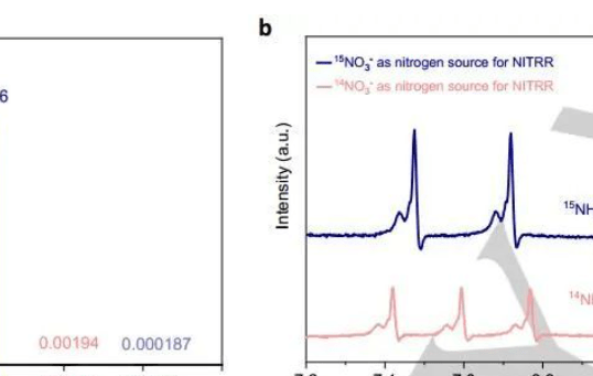 南開羅景山Angew：銅負載Rh簇和SACs將硝酸鹽高效電化學還原成氨