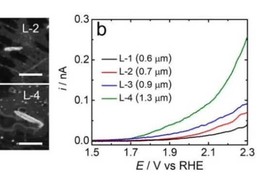 JACS：單赤鐵礦納米棒間和內部的異質性作為OER的電催化劑