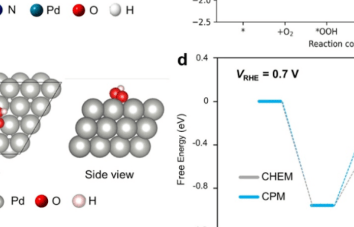 ACS Catal: 碳負載單原子Pd催化劑上的高選擇性氧還原為過氧化氫