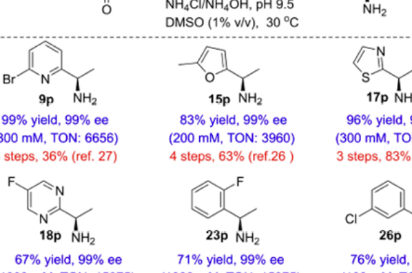 【Angew. Chem. Int. Ed.】工程化胺脫氫酶催化α-（雜）烷基芳基酮的直接不對稱還原胺化反應