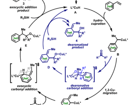 【J. Am. Chem. Soc.】銅催化乙烯雜芳烴與羰基的發散不對稱加成反應
