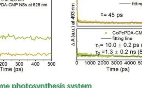 北科/石大Small：共價微孔聚合物納米片用于H2O中高效光催化CO2轉化