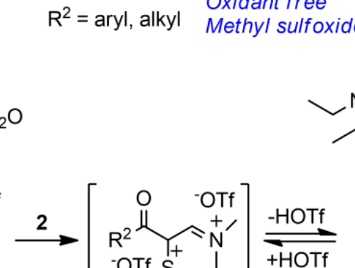Asian J. Org. Chem. ：三氟甲磺酸酐介導(dǎo)的烯胺酮區(qū)域選擇性C(sp2)-H硫化反應(yīng)