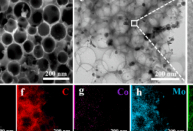 云南大學(xué)劉世熙副教授、胡廣志研究員ACB、ACHM：仿生葉綠體光催化降解四環(huán)素以及全天候太陽能光電高效分解水制氫