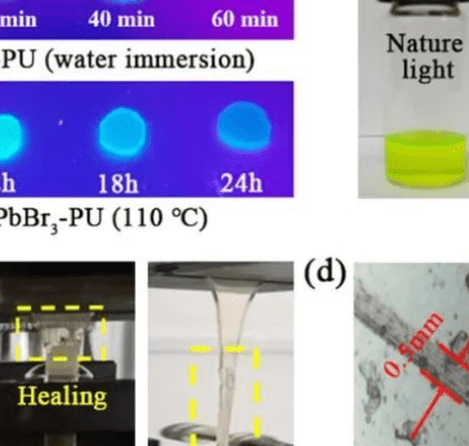 長春工業大學王世偉教授：高穩定自修復聚氨酯/鈣鈦礦量子點彈性體復合材料