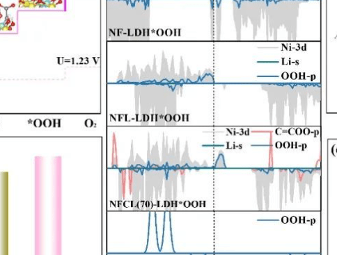 魯效慶/王兆杰/劉思遠AFM：一石二鳥-羧基耦合同步提升LDH反應活性及動力學