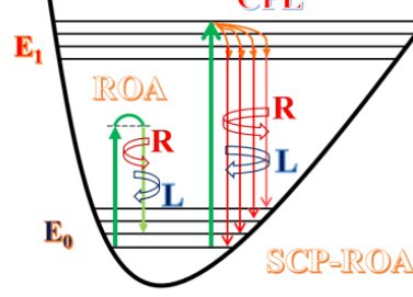 Chemistry Methods：手性磷酸與稀土離子之間非共價相互作用的手性光譜學研究