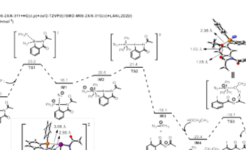 Chem. Eur. J. ：三功能有機高價碘試劑，助力復雜醇類化合物后期脫羥基疊氮化