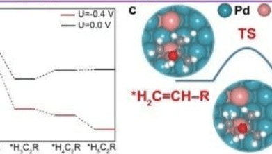熊宇杰/高鵬/葉偉ACS Catal.: 剖幽析微：揭示界面水結構在炔烴電化學半氫化中的作用