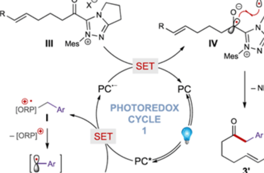 【J. Am. Chem. Soc.】光催化[5 + 1] 環(huán)加成合成環(huán)己酮