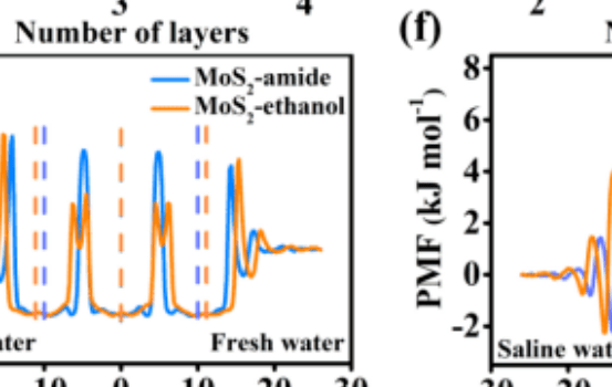 香港城市大學(xué)曾志遠(yuǎn)&清華大學(xué)王海輝教授等AM: 電化學(xué)鋰離子插層剝離和共價(jià)功能化MoS2膜用于離子篩分