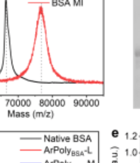 結(jié)合蛋白質(zhì)和脯氨酸聚合物形成人工酶用于水相不對(duì)稱羥醛縮合反應(yīng)