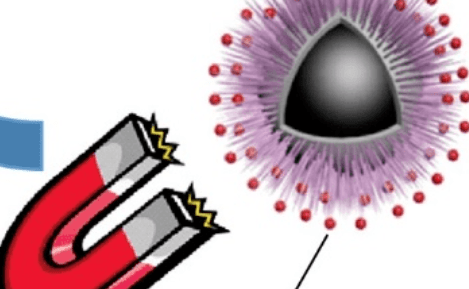 Asian J. Org. Chem. ：核殼型磁性介孔微球固定化N-雜環卡賓環鈀催化劑：一種高效可回收的藥物合成交叉偶聯催化劑