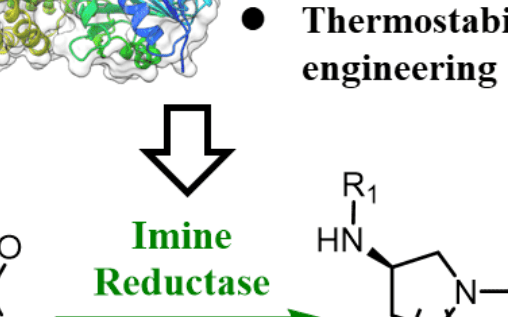 Angew. Chem. ：工程化亞胺還原酶催化非對稱性合成手性胺藥用中間體