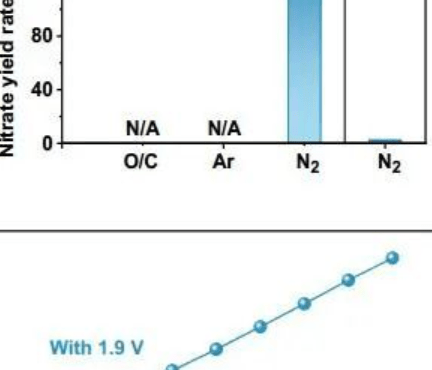 天大于一夫Angew：Rh電催化劑上氮電氧化合成硝酸鹽