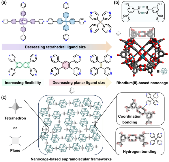 Angew. Chem. ：超分子拓撲受挫堆積構筑微孔結構研究