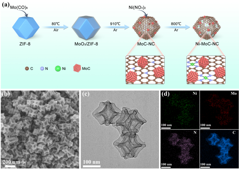 Angew. Chem. ：Ni單原子/MoC納米簇在鋰硫電池中的協同催化作用