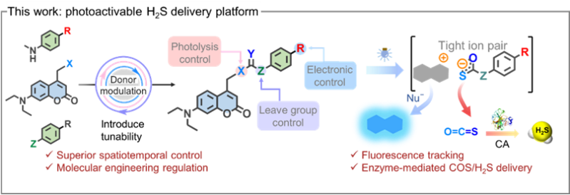 Angew. Chem. ：具有示蹤功能的光控可調諧硫化氫釋放平臺研究