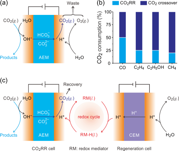 Angew. Chem.：氧化還原介導CO?電解有效回收跨膜碳損失